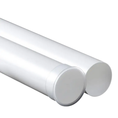 Scatola di Conservazione (Offerta)