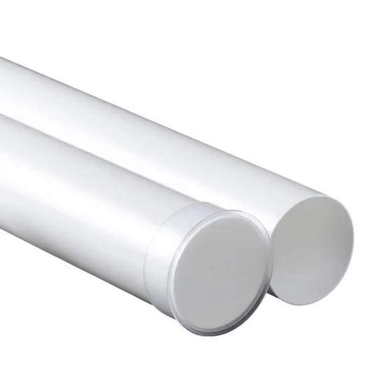 Scatola di Conservazione (Offerta)